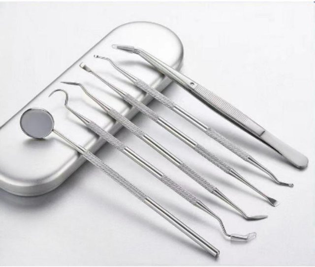 Lanzhong home life Zahnreinigungswerkzeug-Set, 6-teilig, Edelstahl - Bild 1