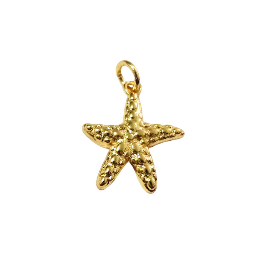 Ocean Star Anhänger, Kupfer, Gold, Unisex - Bild 2