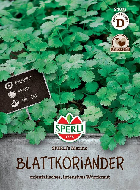 SPERLI Blattkoriander-Samen Marino - Bild 1