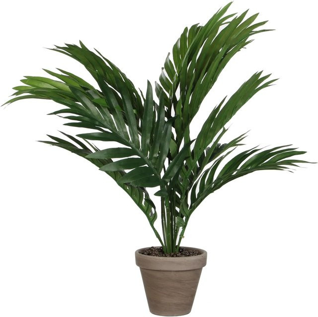 Mica Decorations Kunstpflanze Areca Palme Grün im Topf, Höhe: 45 cm, Durchmesser: 60 cm, Topf-Ø: 11,5 cm - Bild 1