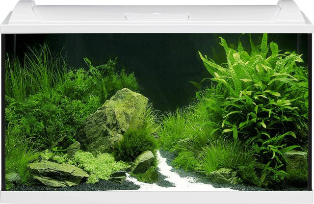 Eheim Aquapro LED 126 Aquarium-Set in Weiß - Bild 1