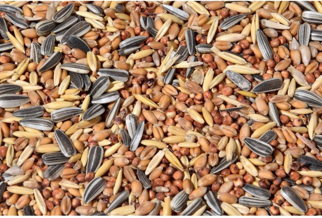 Dobbar Vogelfutter Streufutter gemischt, 20 kg - Bild 1