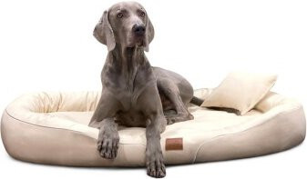 Tierlando Orthopädisches Hundebett TIFFANY Easy-Clean in Beige, B: 145 cm, H: 20 cm, T: 105 cm - Bild 1