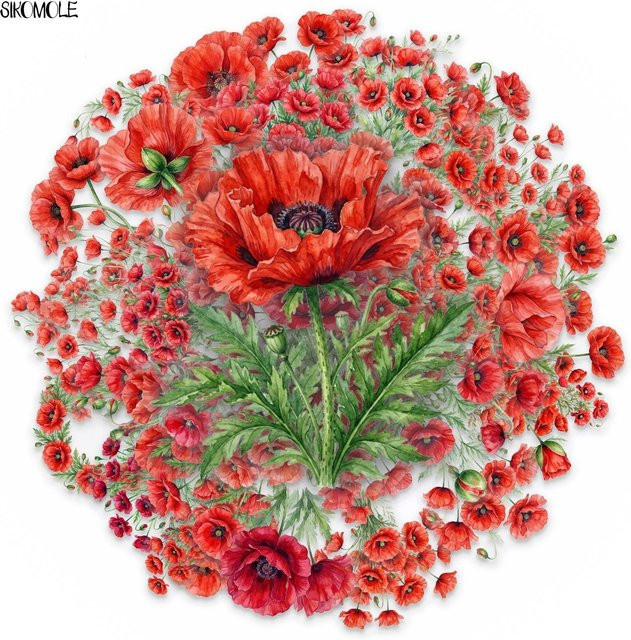 50 Stück Binchi Outdoor Product Mohnblumen-Aufkleber in Rot mit Aquarell-Blumenmuster aus transparentem PET für deine DIY Journal Dekoration - Bild 1