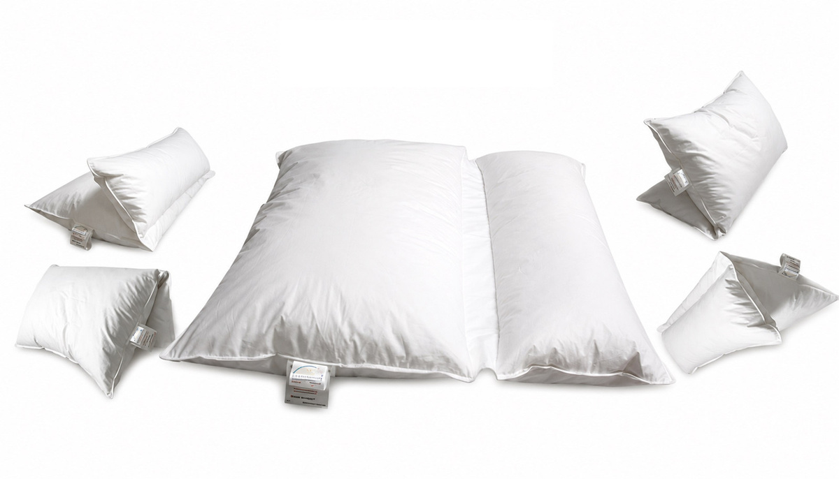 Betten Hofmann Premium Lesekissen Multifunktionskissen mit 30% Daunen in Weiß, B/B/H: 80 x 80 x 80 cm - Bild 1