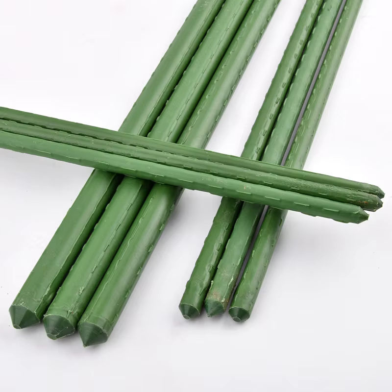 Grüne Pflanzenpfähle aus kunststoffbeschichtetem Stahl für Kletterpflanzen, Obst und Gemüse, Länge: 60 cm - Bild 3