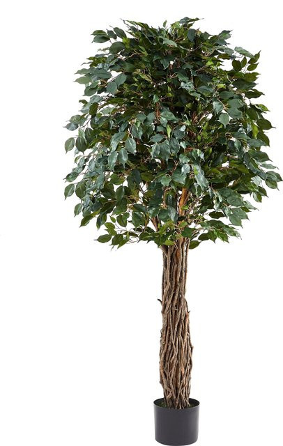 Künstlicher Ficus Baum von Aplanta, Höhe: 200 cm - Bild 1