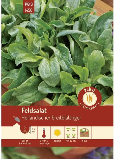 Pabst Keimkraft Feldsalat Saatgut Breitblättrig und Starkwüchsig - Bild 1