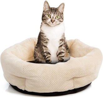 Wallace & Jones Katzenbett Cloey in Beige mit erhöhtem Rand und rutschfester Unterseite