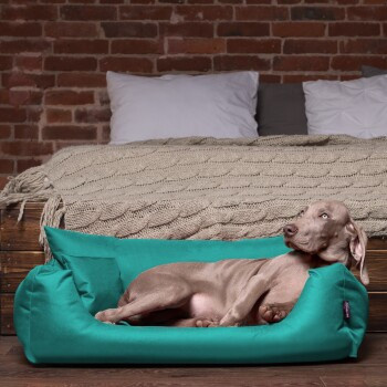 Tierlando NEMO Hundebett Hundesofa in Türkis mit abnehmbarem Bezug und erhöhten Rändern, B/T/H: 65 x 20 x 50 cm - Bild 3