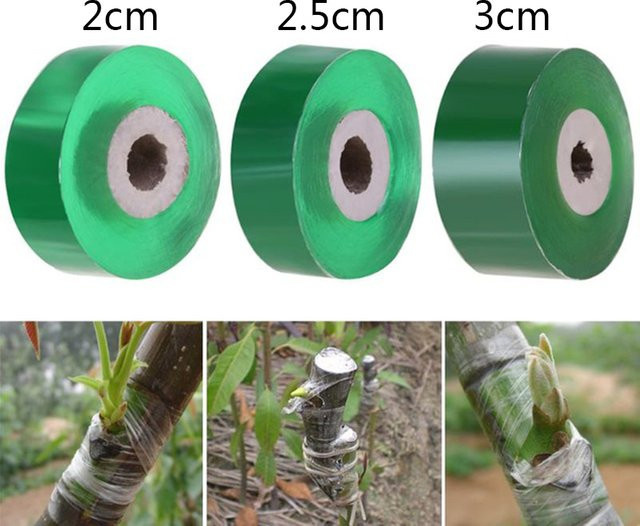 Biologisch abbaubares Pfropfband in Grün, 100 m Länge, umweltfreundliche Transplantatmembran als Gartenbindegürtel - Bild 1