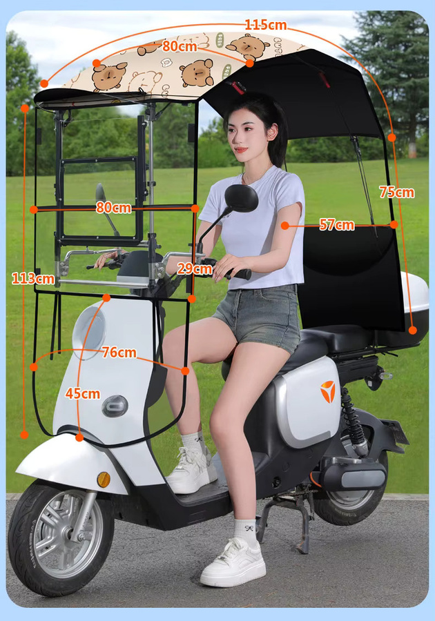 Winddichte Elektrofahrzeug-Überdachung in Schwarz mit Teleskop-Sonnenschutz und schneller Demontage, B/T/H: 113 x 115 x 113 cm - Bild 6