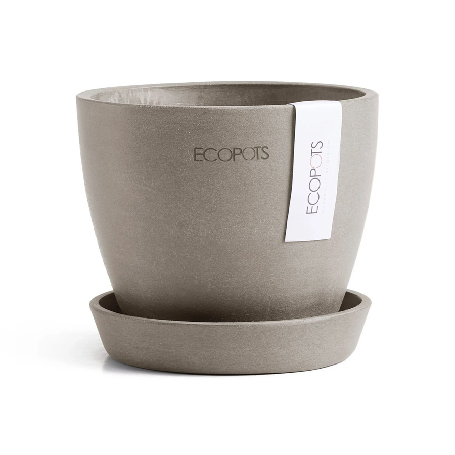 Ecopots Pflanztopf Antwerp Mini Braungrau B: 11,5 cm, H: 10,1 cm, T: 10,1 cm - Bild 2
