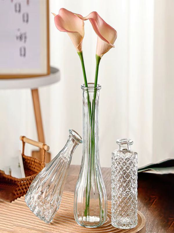 Moderne Glasvase in Flaschenform für Schnittblumen, transparentes Design für deine Wohndekoration - Bild 5