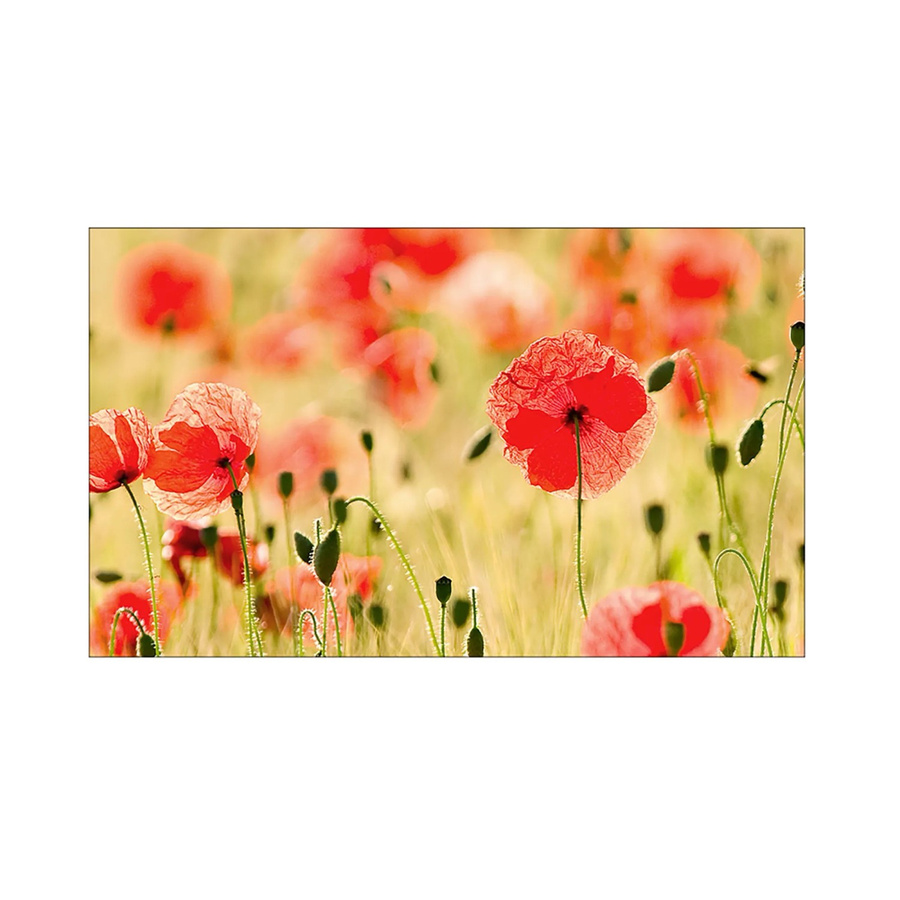 MySpotti Küchenrückwand Profix Cucina Mohnblüte in Rot, B/H: 100 x 60 cm - Bild 1