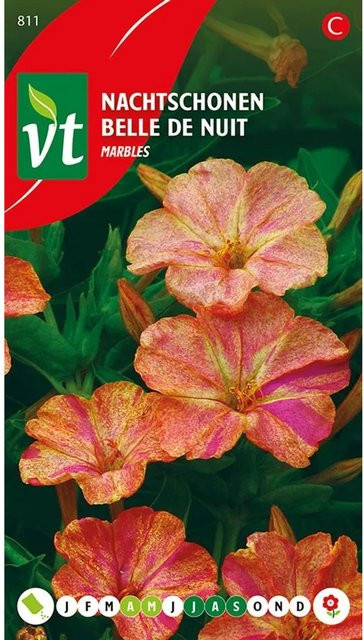 Arborix Wunderblume Murmelmix Samen mit marmorierten Blüten, ca. 1,5 g - Bild 1