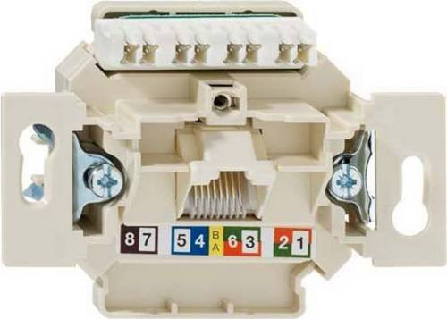 Rutenbeck Netzwerkdose Unterputz Einsatz CAT 6 Ethernet LAN in Weiß - Bild 1