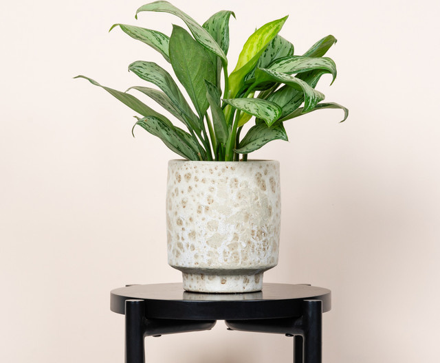Keramik Übertopf Green Living Tabletop mit Lavamotiv in Beige, Höhe: 13 cm - Bild 1