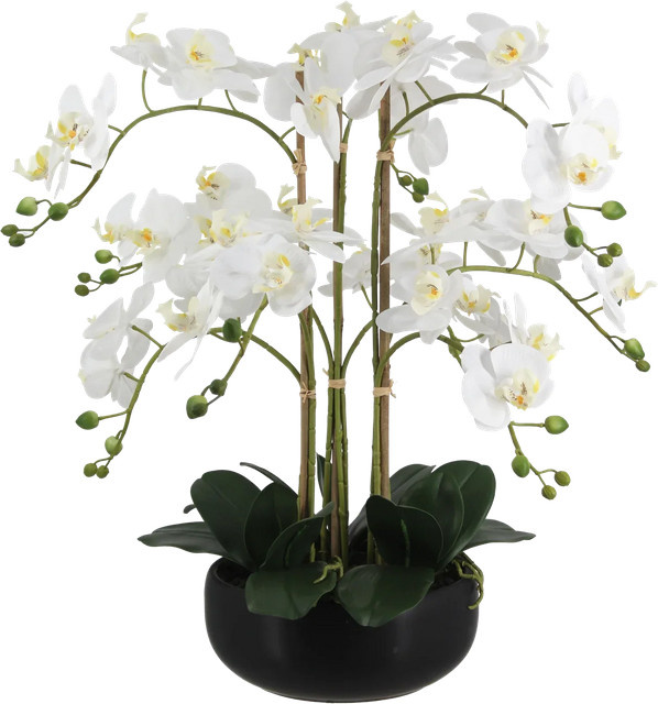 Künstliche Orchidee Bo von Aplanta, Tischdeko, Höhe: 65 cm - Bild 1