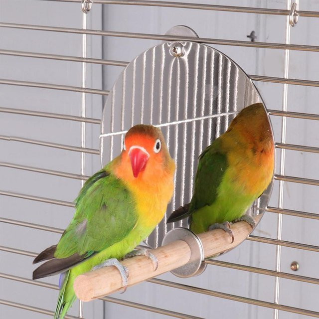 mfySpace Vogelkäfig Zubehör, Edelstahl Spiegel Vogelkäfig Holz Sitzstange, gray - Bild 1