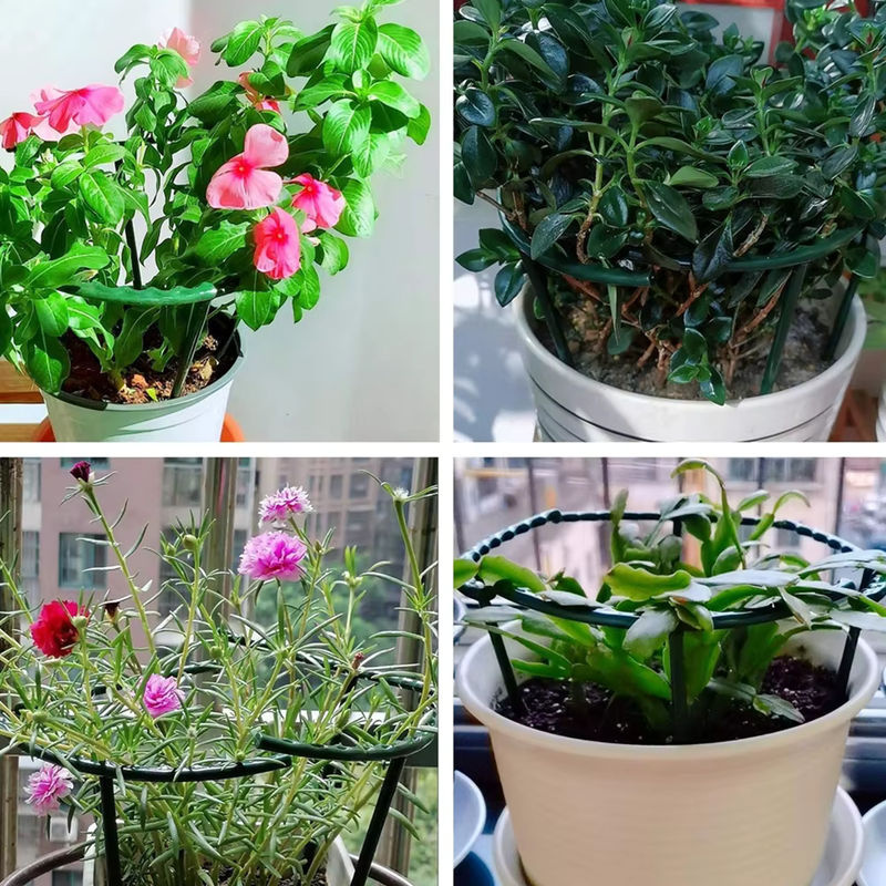 Pflanzenstützpfahlrahmen aus Kunststoff als Kletterhalterung für Blumenpflanzen im Innenbereich - Bild 4