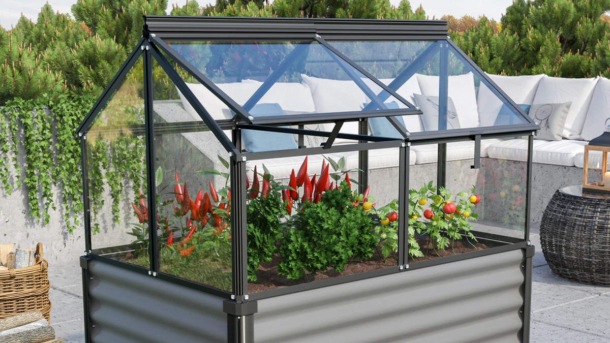 Vitavia Frühbeet Gaia Jumbo aus Aluminium und Einscheiben-Sicherheitsglas (ESG), schwarz, B/T/H: 83,1 x 71,9 x 119,3 cm - Bild 6