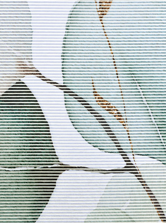 Schiebevorhang Heine Home mit Eukalyptus-Floral-Print, Weiß-Multicolor, Semi-transparent, 145 x 57 cm