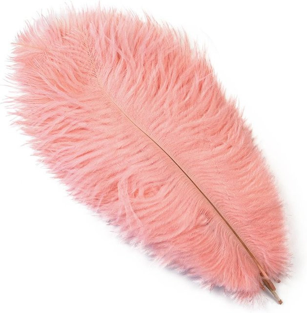 10 Stück gefärbte natürliche Straußenfedern für Hochzeitsdekoration und DIY-Projekte, Farben: Weiß, Pink, Schwarz, Länge: 30 cm - Bild 1