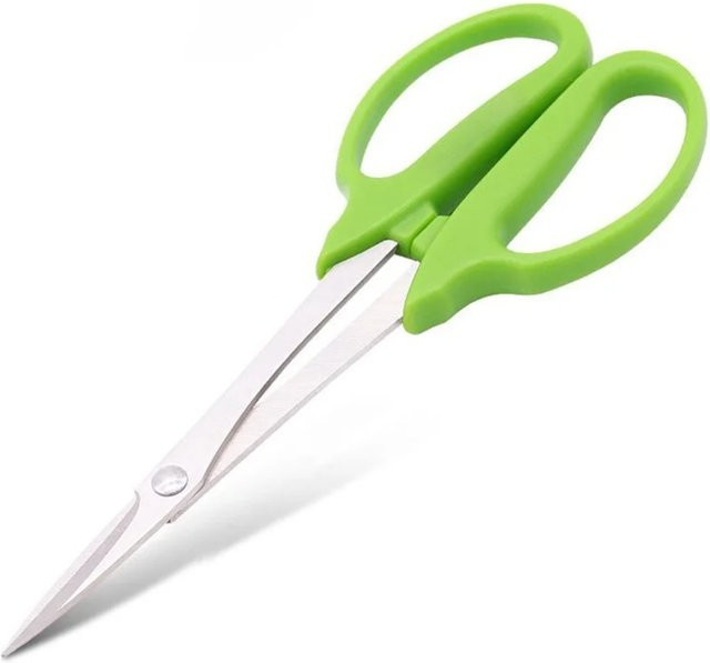 Grüne Bonsaischere mit langem Griff zur Gartenpflege für das Trimmen von Knospen, Blättern und Zweigen - Bild 1