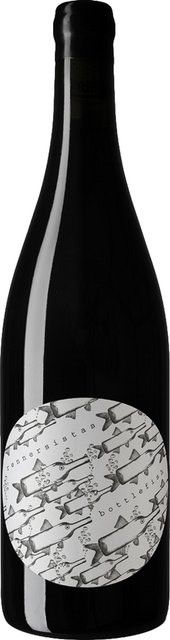 Rennersistas Bottlefish Bio Blaufränkisch Rotwein, 2021, Burgenland, trocken, 0,75 l - Bild 1