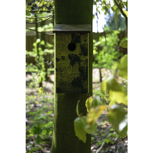 DOBAR Nistkasten in Rindenoptik aus Fagus sylvatica, braun - Bild 2