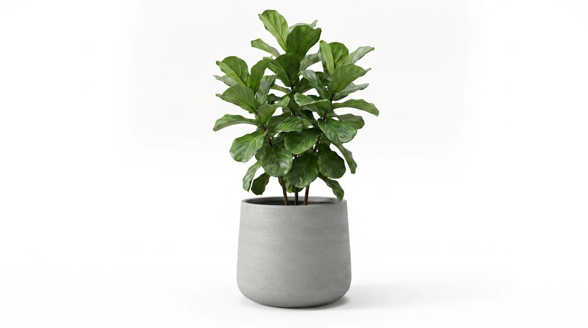 Pflanztopf Kiesel von Aplanta in Grau, B/T: 44 x 37 cm - Bild 3