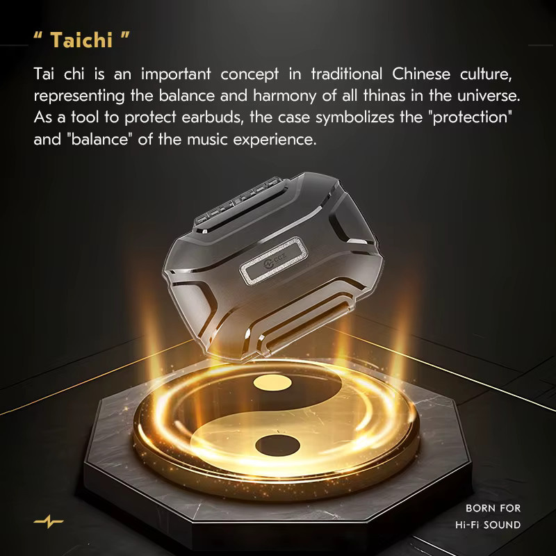 CCZ ZC01 Tragbares In-Ear-Monitorgehäuse, wasserdichte und staubdichte IEM-Hülle für Kopfhörer und Zubehör, Schwarz - Bild 2