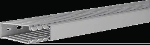 Hager Verdrahtungskanal BA780025 B/H: 25 x 80 mm, Länge: 2000 mm - Bild 1