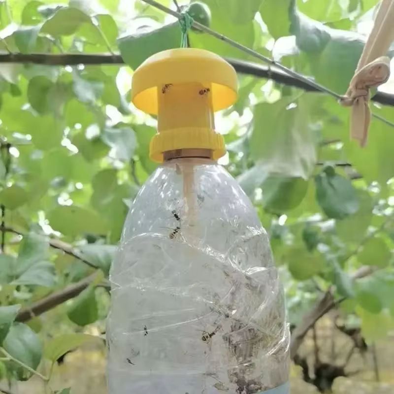Gelbe Insektenfallen für Obstgarten und Bauernhof zur Bekämpfung von Fliegen und Bienen - Bild 3