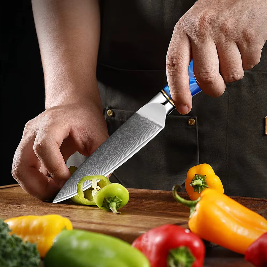 Xituo Damaststahl Allzweckmesser mit blauem Harzgriff, 3,5-Zoll Schälmesser für Obst und Fleisch - Bild 6