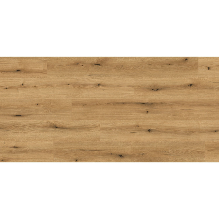 Kaindl Excellent Aqua Laminat Eiche Evoke Coast wasserfest 8 mm Dicke - Bild 2