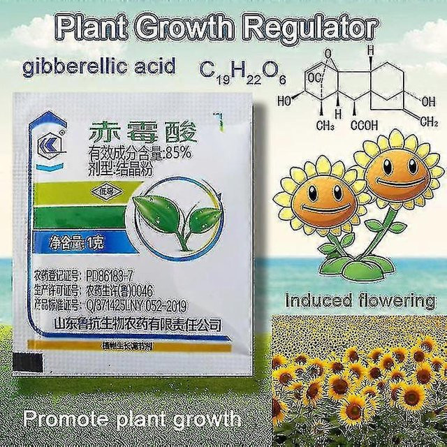 Needme-germanst Gibberellinsäure 920 Pflanzenwachstumsregulator Konzentrat zur Ertragssteigerung und Keimruhebrechung für Hausgarten und Bonsai, 1 g - Bild 1