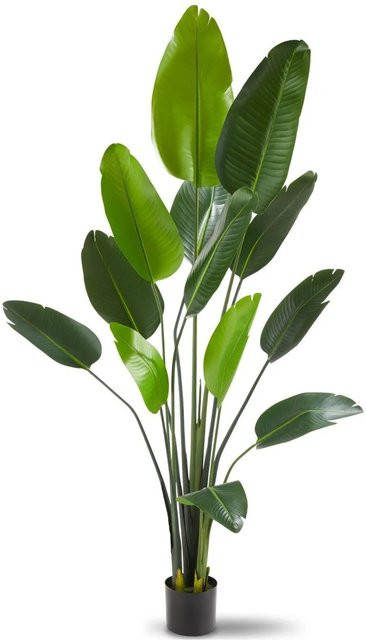 tectake Künstlicher Paradiesvogelbaum Tropic in Grün mit PEVA-Blättern und stabilem Kunststoff-Blumentopf, B/T/H: 25 x 25 x 180 cm - Bild 1