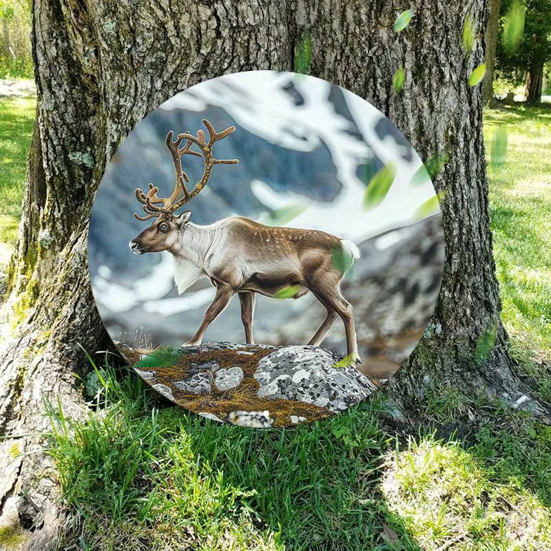 Kaitong Rentier Aluminium Schild, rund, weiß, Durchmesser: 20,32 cm - Bild 3