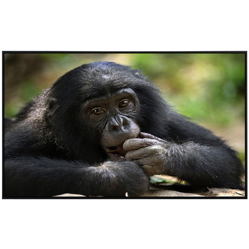 papermoon Infrarotheizung EcoHeat Bonobo mit Matt-Effekt in Bunt, App-Steuerung und Überhitzungsschutz - Bild 2