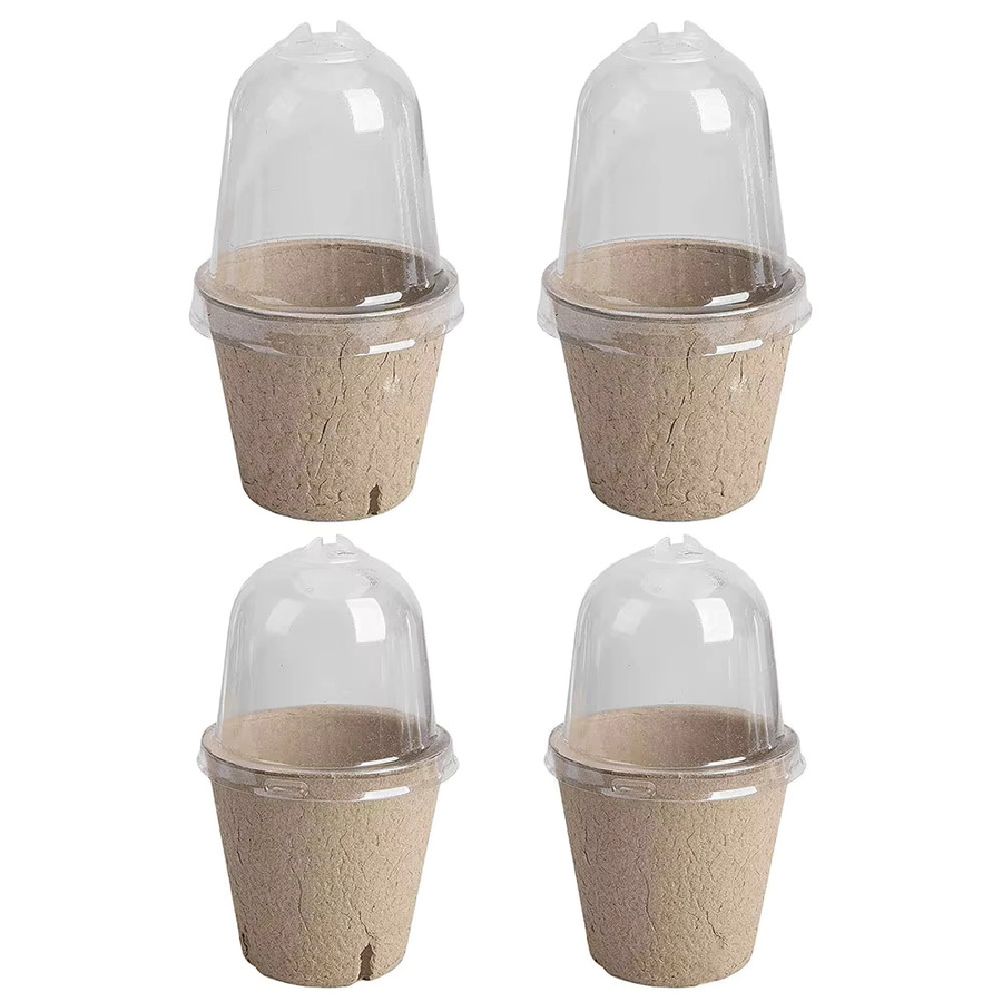 10 Stück APWIKOGER Anzuchtbecher biologisch abbaubar, braun, B/T/H: 13,0 x 13,0 x 8,0 cm - Bild 2