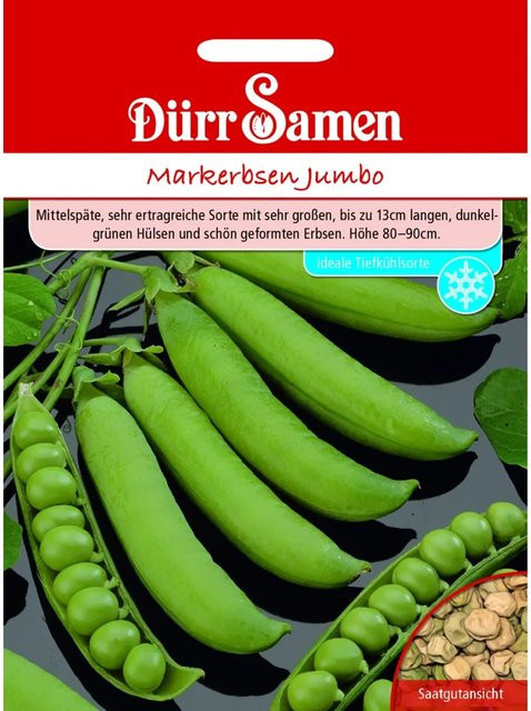 Dürr Markerbsen Jumbo Saatgut für Gemüse - Bild 1