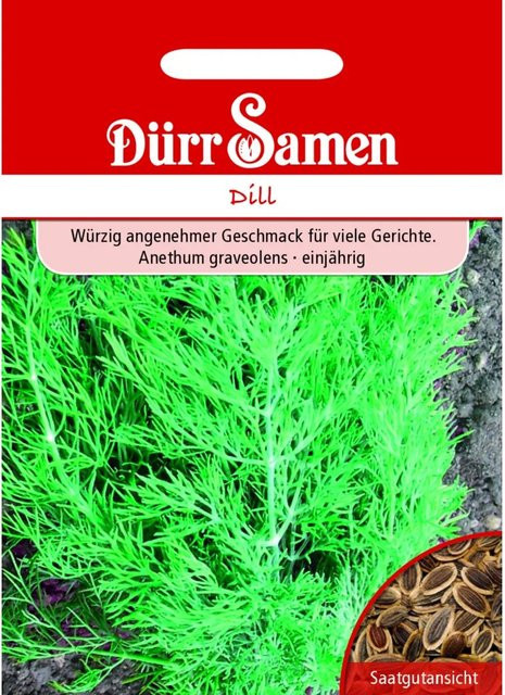 Dürr Dill Saatgut Blattreicher Dill für den Garten - Bild 1