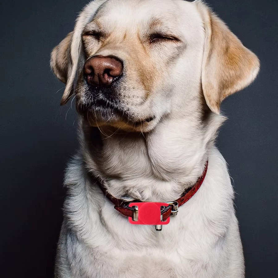 OAKCHARM Wasserdichtes Silikon Halsband für Apple AirTag als GPS-Tracker für Hunde und Katzen in Petrol - Bild 3