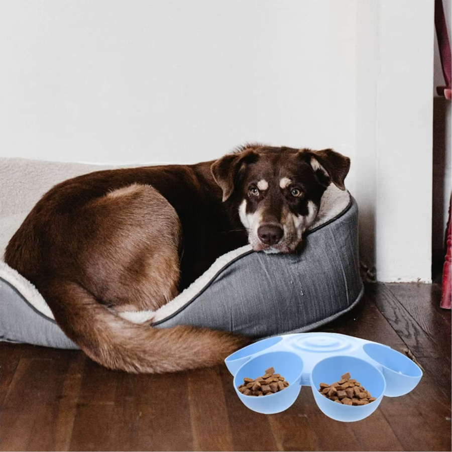ZHUOJI Blumenförmiger Futternapf für Haustiere in Blau mit sechs getrennten Fächern für Katzen und Hunde, Breite: 36,0 cm - Bild 3