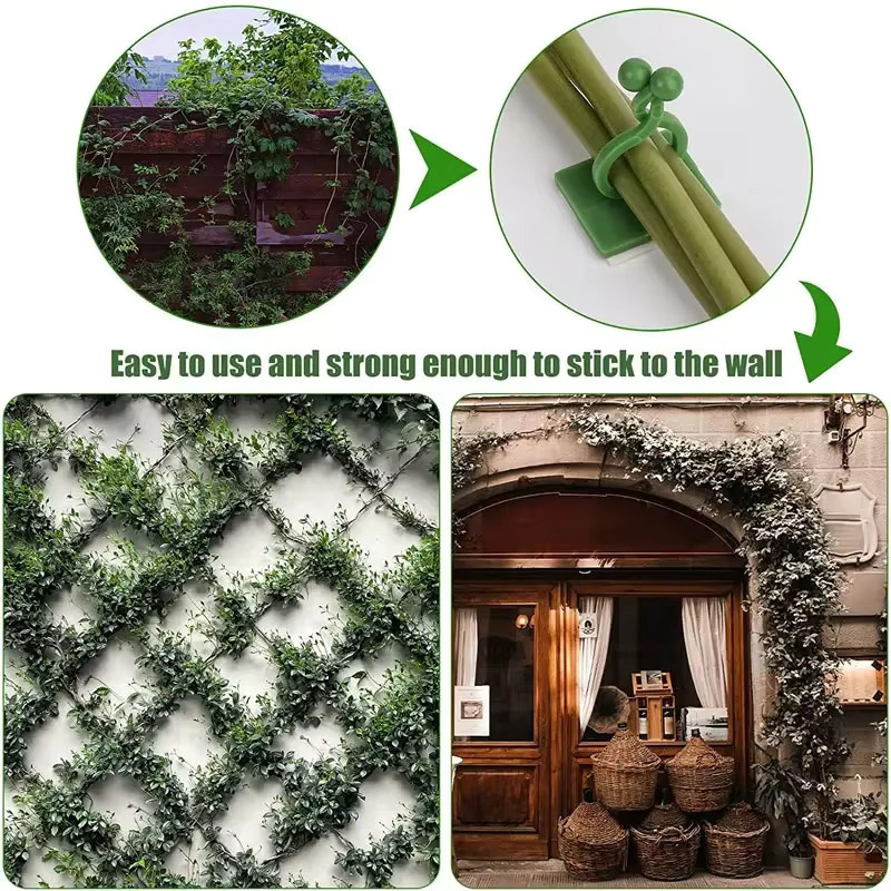 Pflanzen-Clips zur Unterstützung von Kletterpflanzen und Rankgewächsen für die Gartendekoration - Bild 3