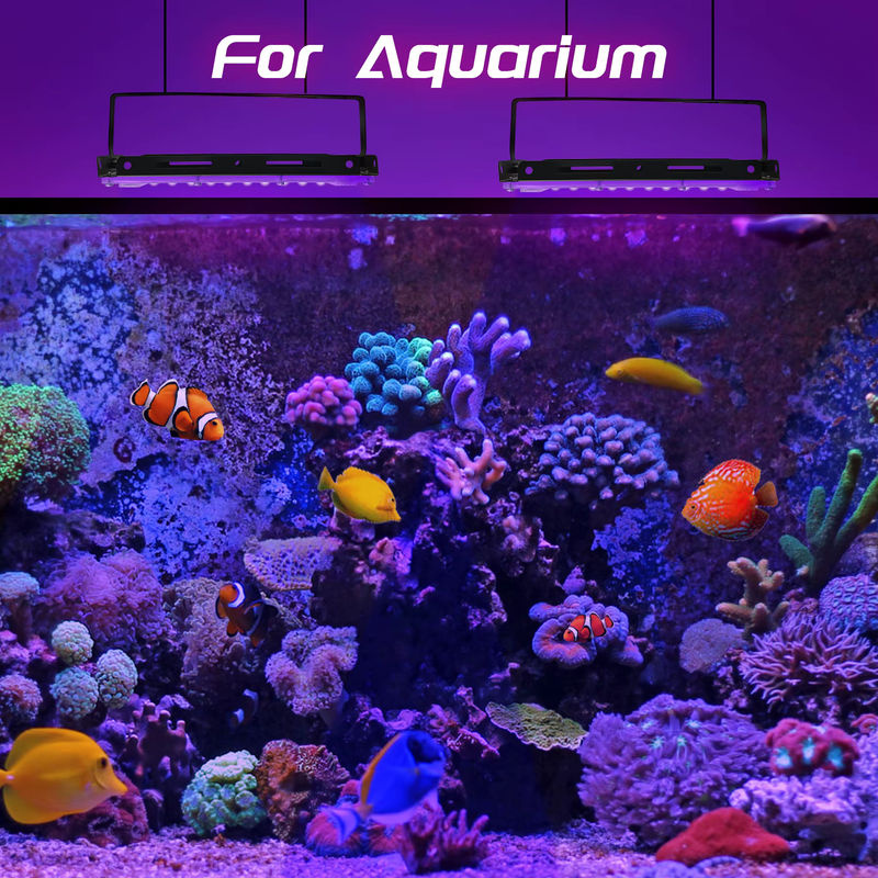 Meerox UV-Schwarzlicht LED-Flutlicht für Außenbereich und Disco-Glow-Partys, 395 nm, Schwarz - Bild 6