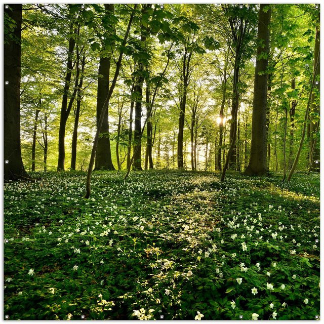 Wallario Gartenposter 2-teilig Waldanemonen und Sonnenstrahlen im Wald, Farbe: Grün, B/H: 180 x 180 cm - Bild 1