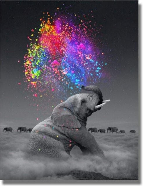 TPFLiving Poster Leinwand Grauer Elefant mit bunten Regenbogen Farben Modell JB1066 Breite: 50 cm, Höhe: 75 cm - Bild 1